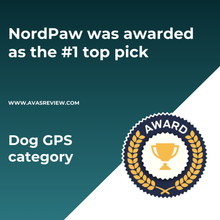 Charger l&#39;image dans la galerie, NordPaw Dog GPS
