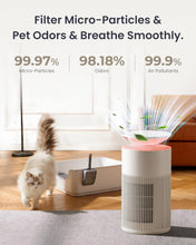 Charger l&#39;image dans la galerie, Osmo AirPurify Pro
