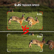 Charger l&#39;image dans la galerie, Osmo WildPro
