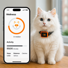 Charger l&#39;image dans la galerie, KittyFind GPS Collar
