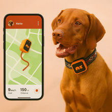 Charger l&#39;image dans la galerie, NordPaw Dog GPS
