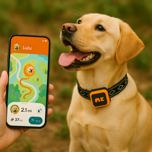 Charger l&#39;image dans la galerie, NordPaw Dog GPS
