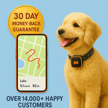 Charger l&#39;image dans la galerie, NordPaw Dog GPS
