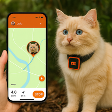 Charger l&#39;image dans la galerie, KittyFind GPS Collar
