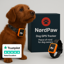 Charger l&#39;image dans la galerie, NordPaw Dog GPS
