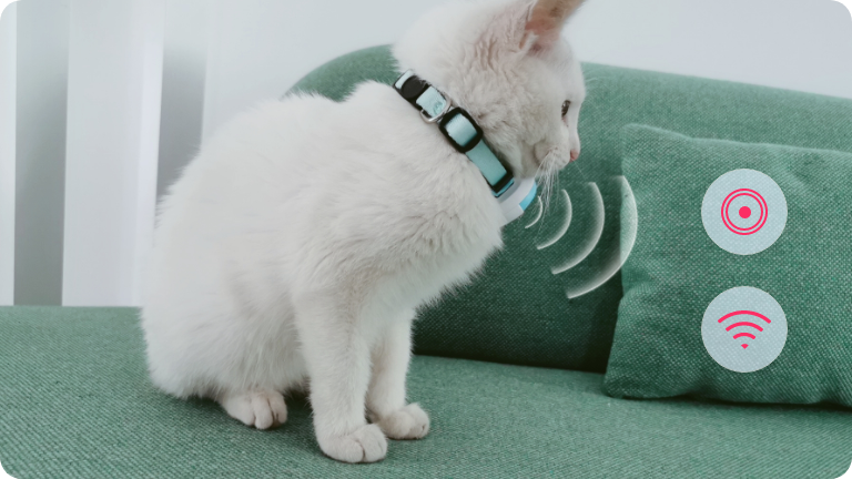 KittyFind GPS Collar